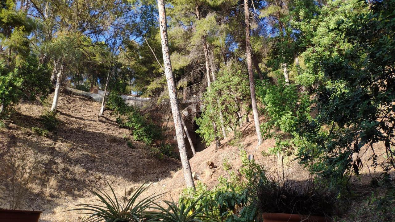 Fabulosa Casa Del Arbol Malaga Zewnętrze zdjęcie